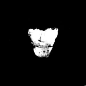 FreeZ's Lens avatar