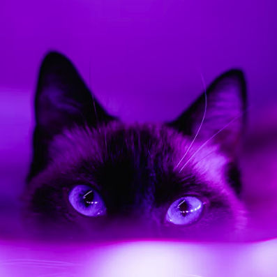 iMtK3n (imtk3n5.lens) Lens social identity (.lens handle) PFP