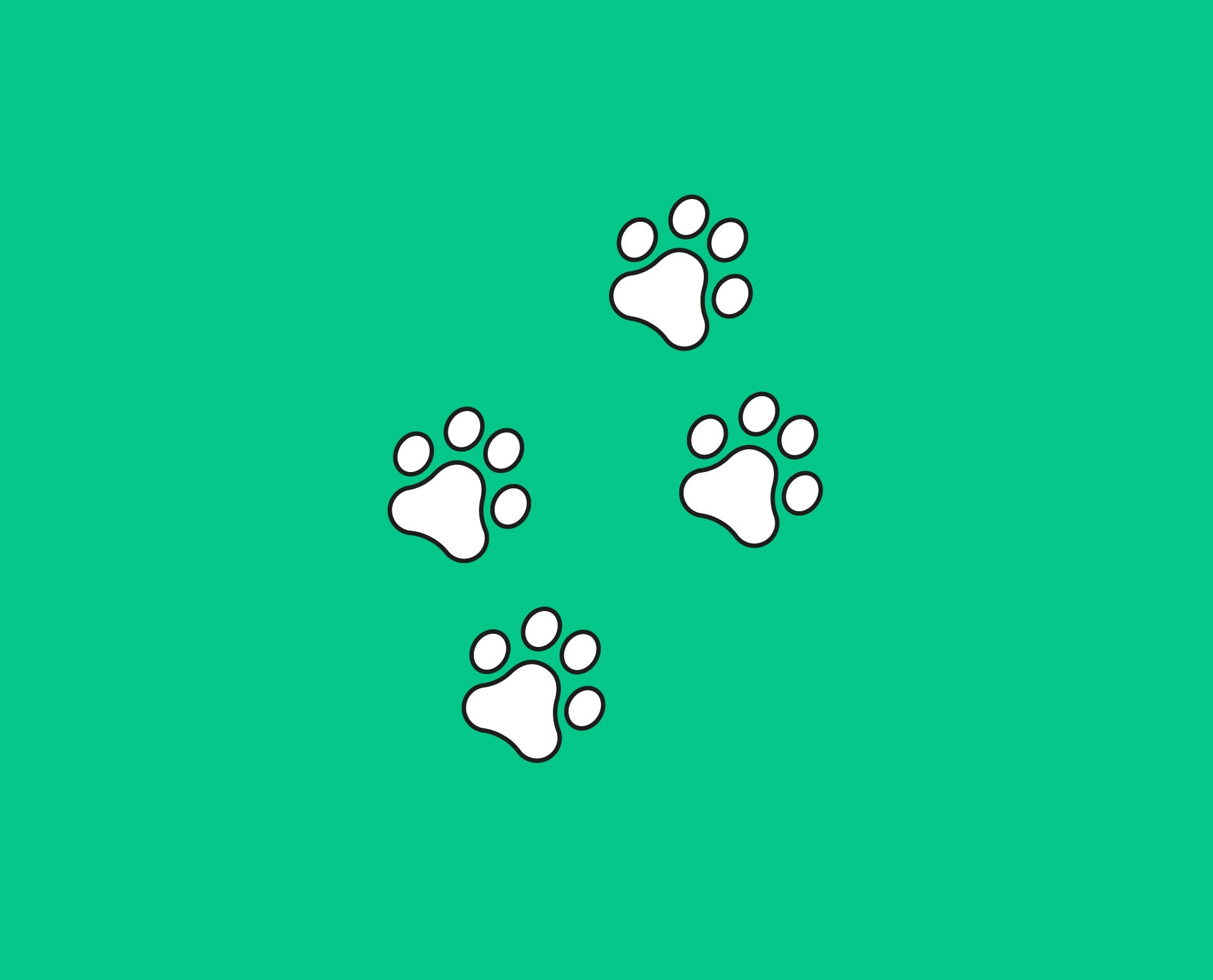 stepbuystep's Lens avatar