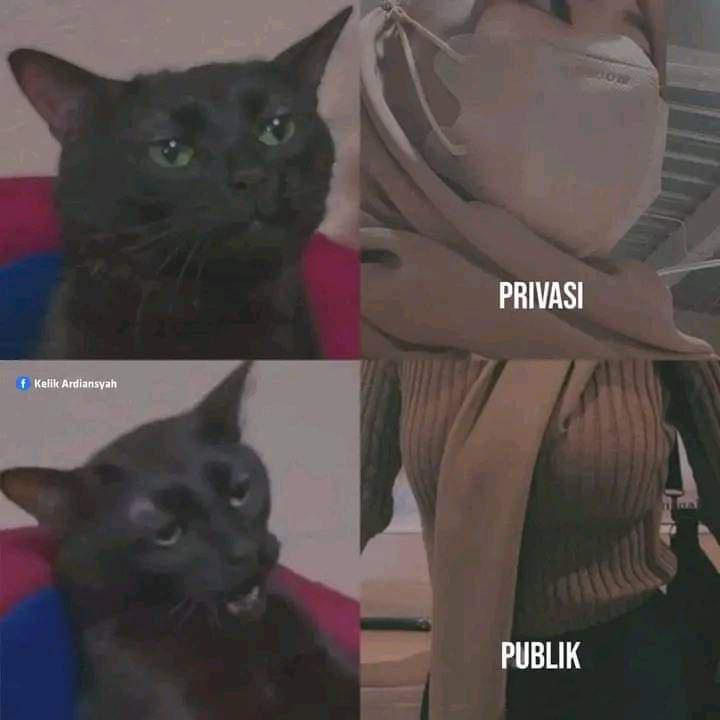tengok's Lens avatar