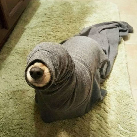 hjrthn.lens Lens social identity (.lens handle) PFP