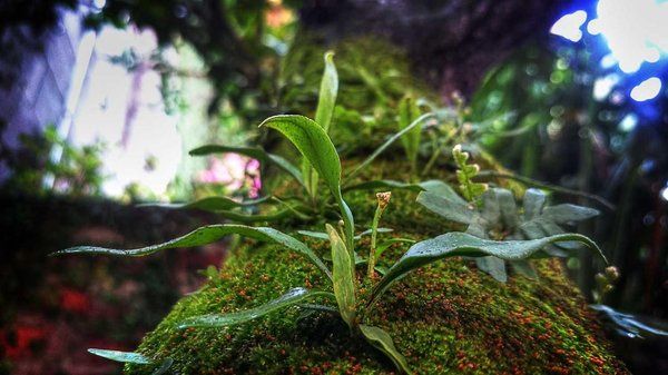 paulharper's Lens avatar