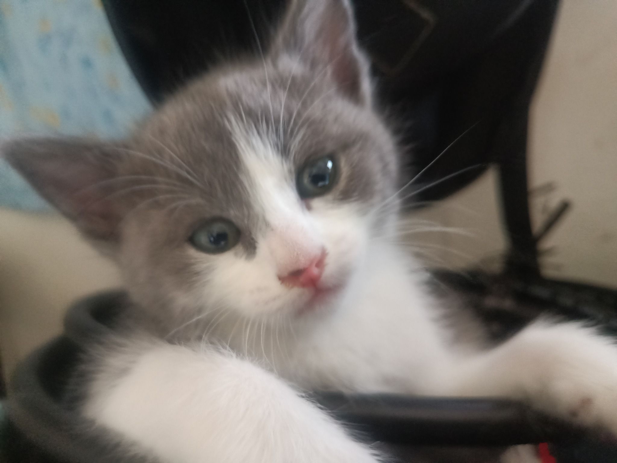 Monadape🐱's Lens avatar