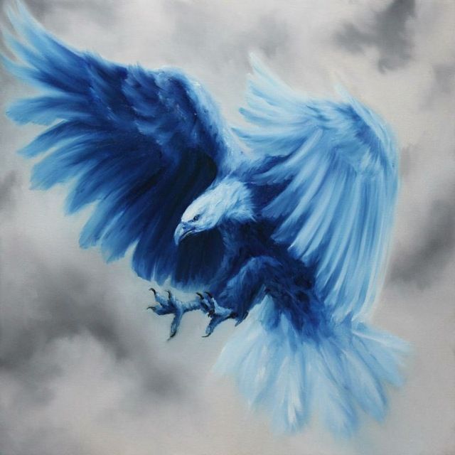Aquila's Lens avatar