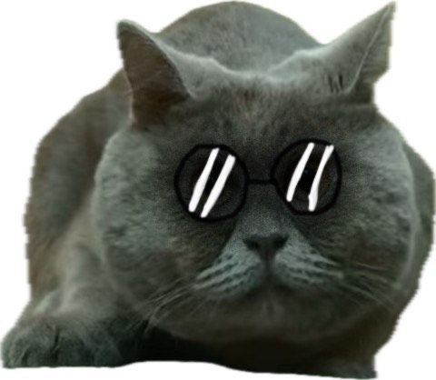 ZKCatWhale (catwhale.lens) Lens social identity (.lens handle) PFP