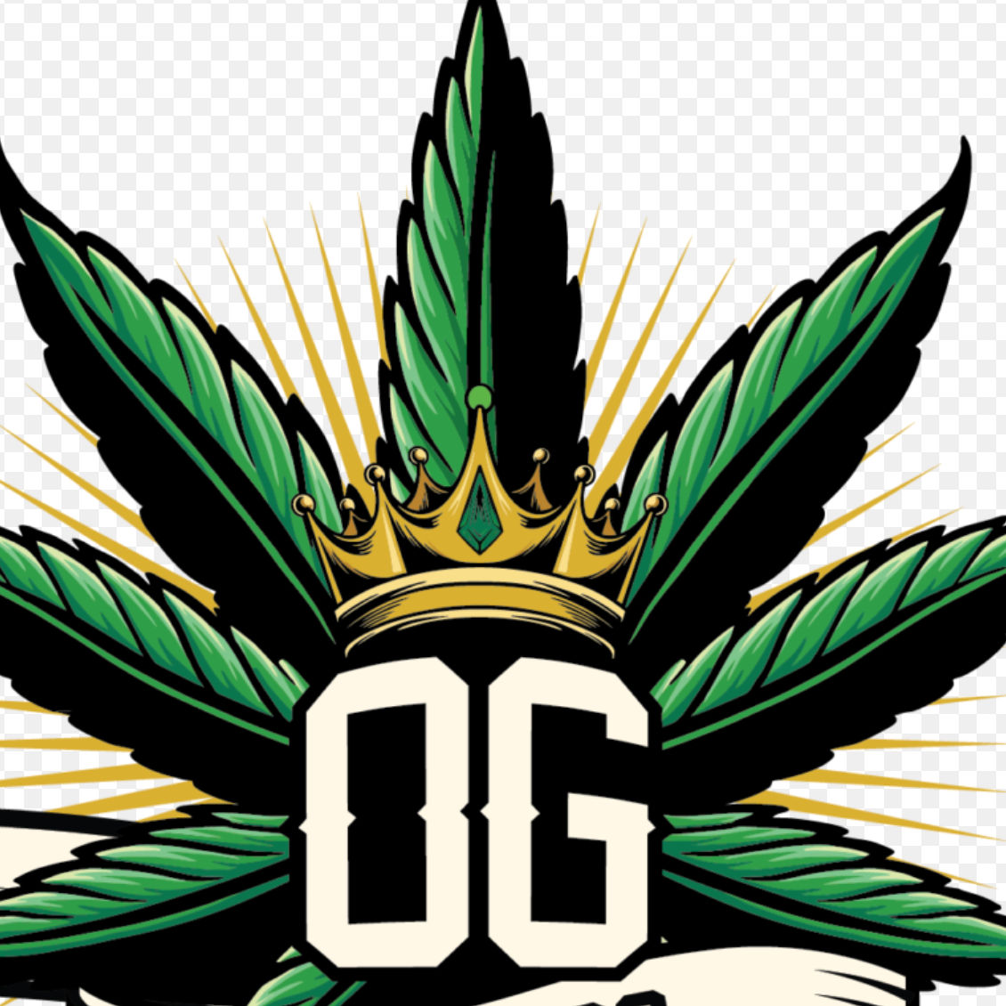 Partap S (partaps.lens) Lens social identity (.lens handle) PFP