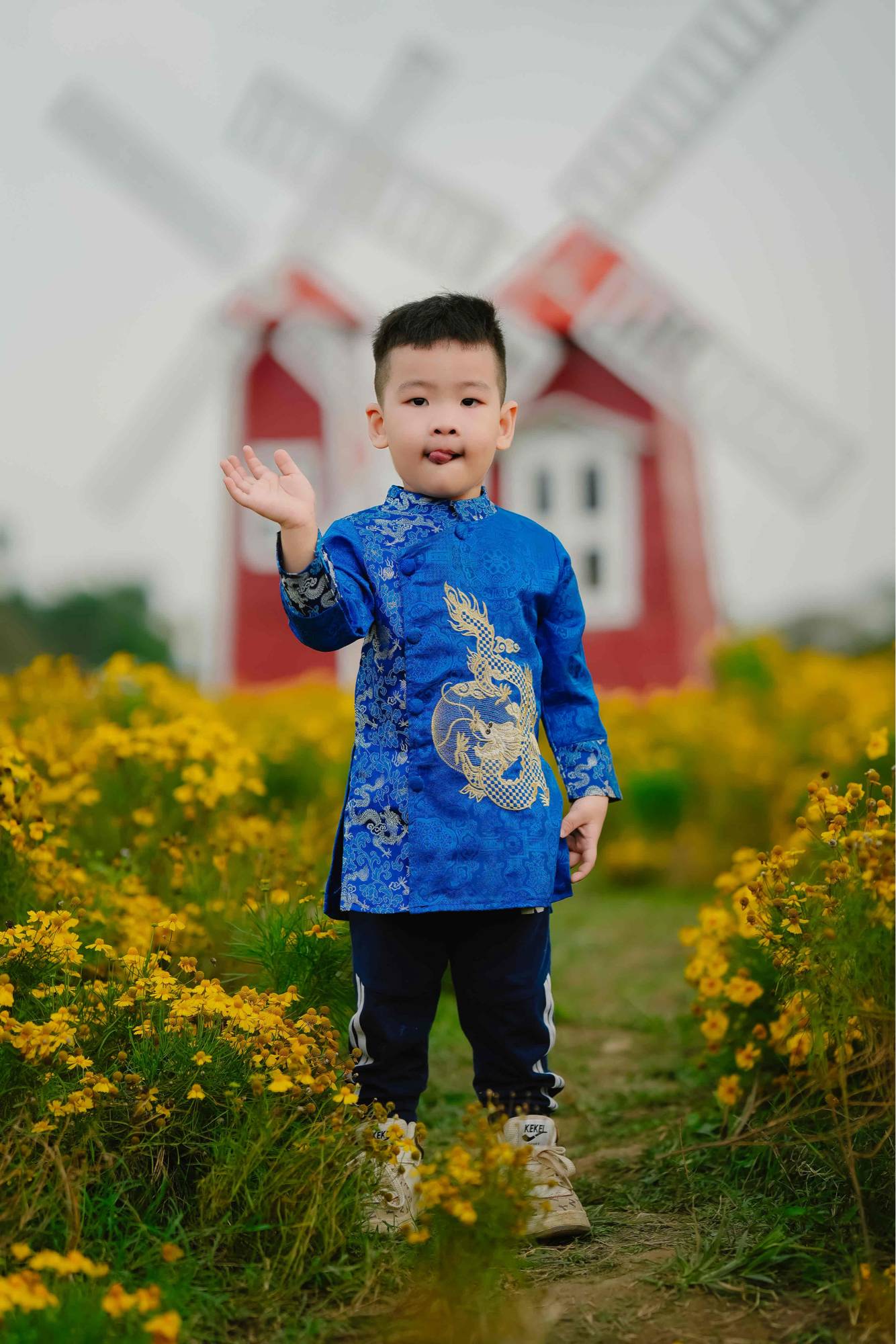 NGUYEN THANH LIEM's Lens avatar