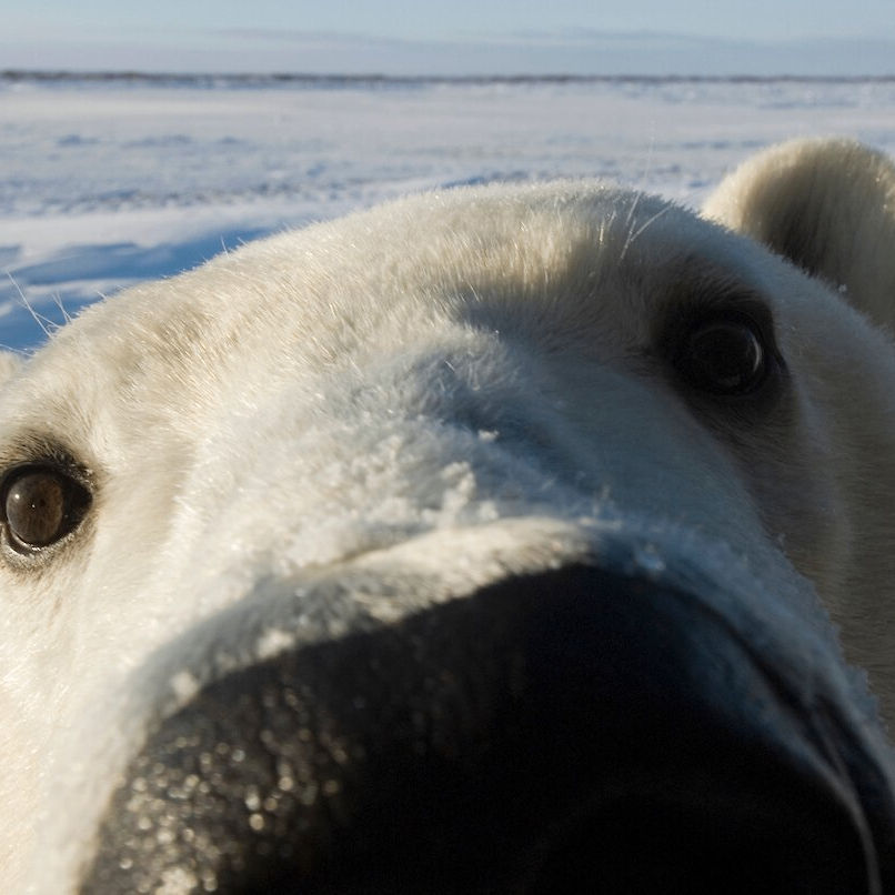 IrinaYar23 (irinayar23.lens) Lens social identity (.lens handle) PFP