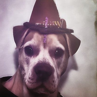 dogfoot5's Lens avatar