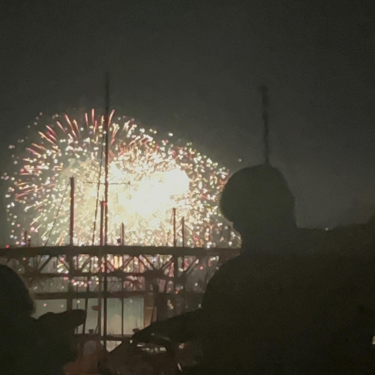 mari (marisiu.lens) Lens social identity (.lens handle) PFP