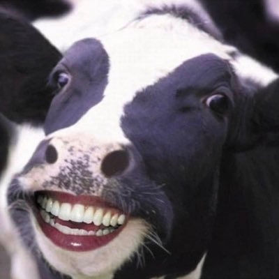 Sean (meomuoplazy.lens) Lens social identity (.lens handle) PFP