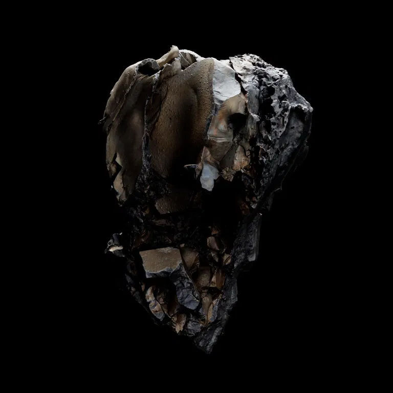 viktorbrim's Lens avatar
