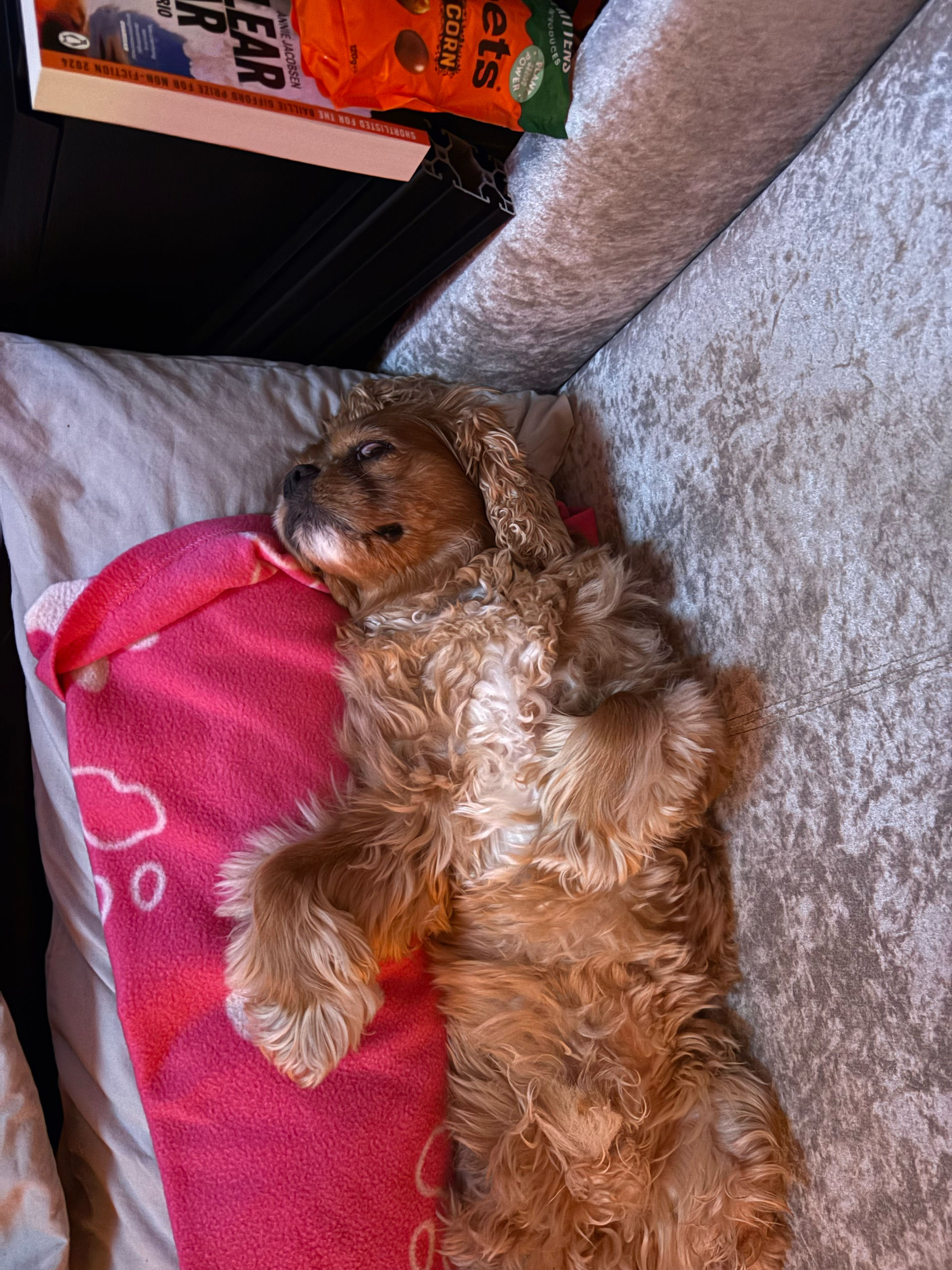 Post image: Happy Friday!