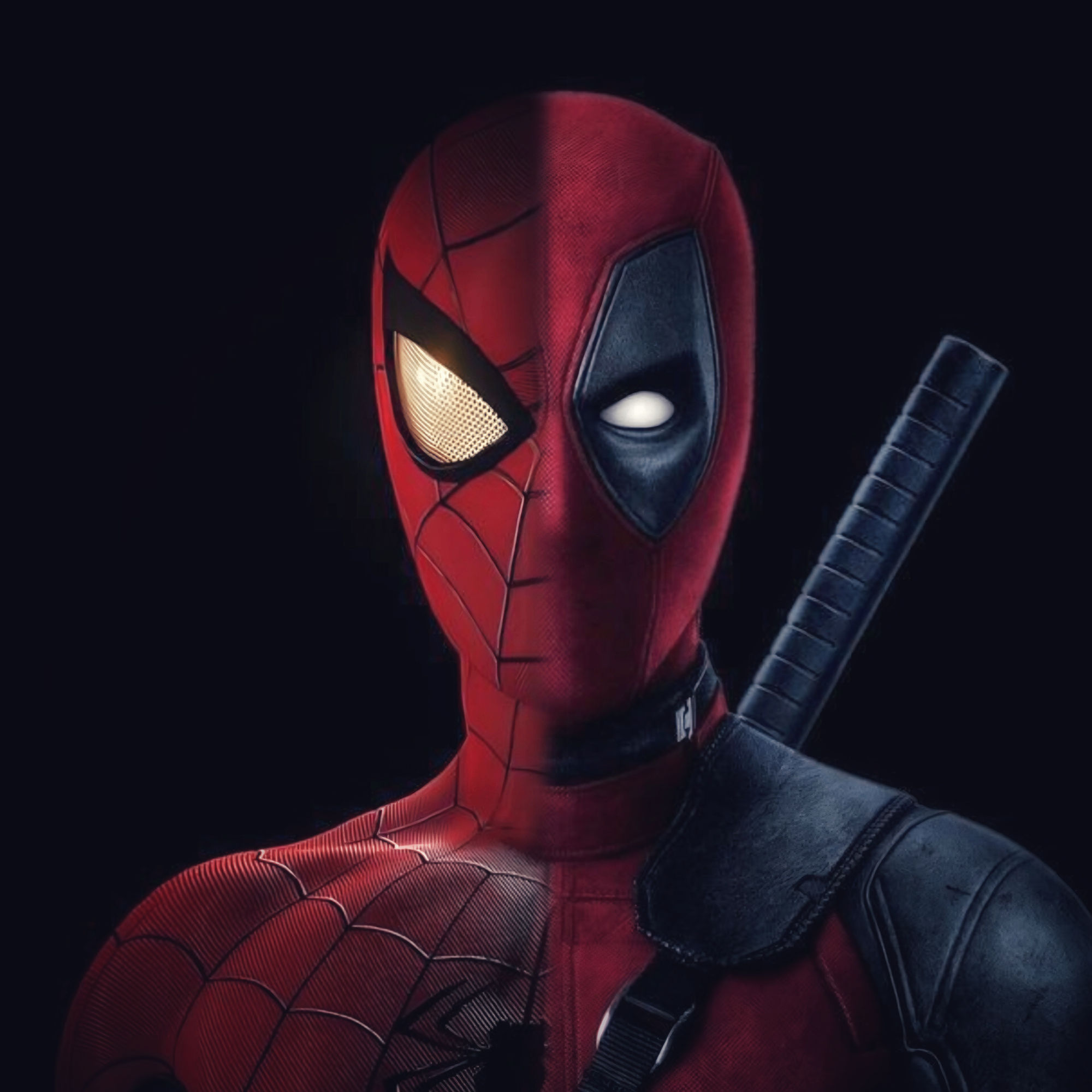 saeedt89's Lens avatar