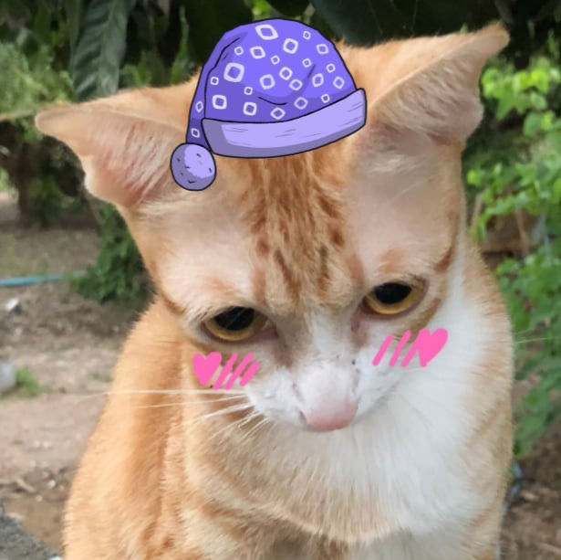Gameyongx's Lens avatar