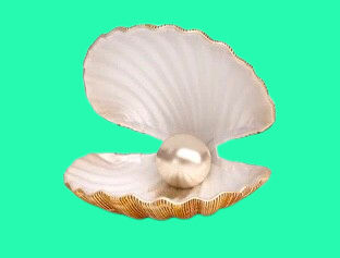 Pearl's Lens avatar