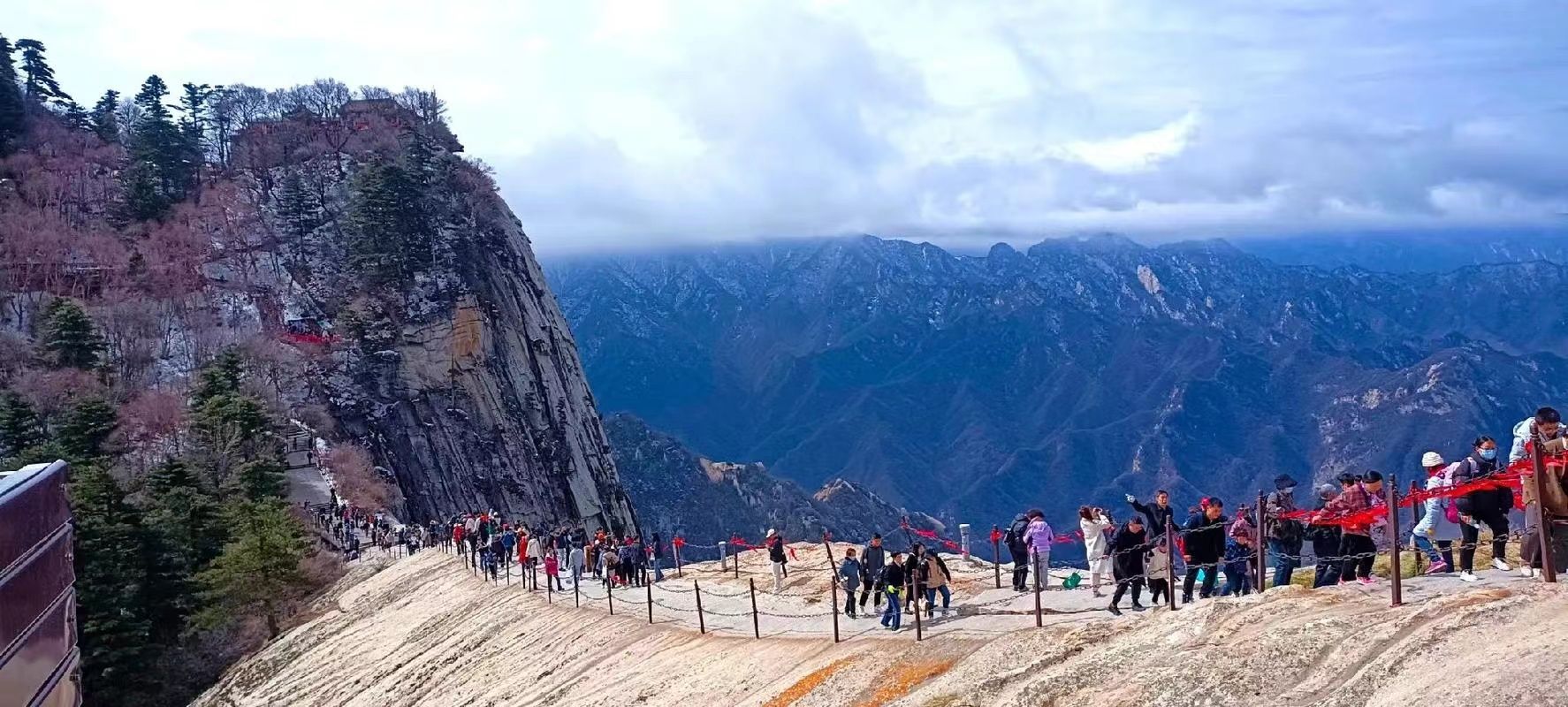 troyalyssab (troyalyssab.lens) Lens social identity (.lens handle) PFP