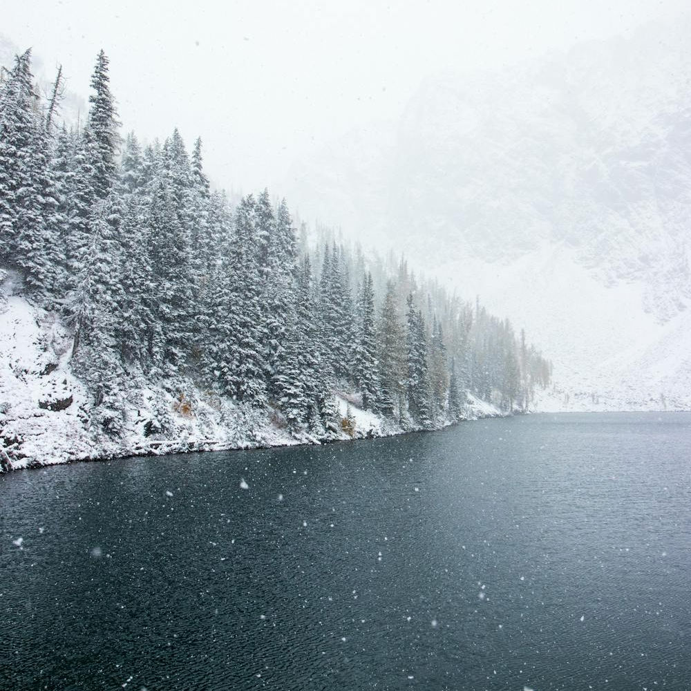 rttvioplkjj (gdehyiolpk.lens) Lens social identity (.lens handle) PFP