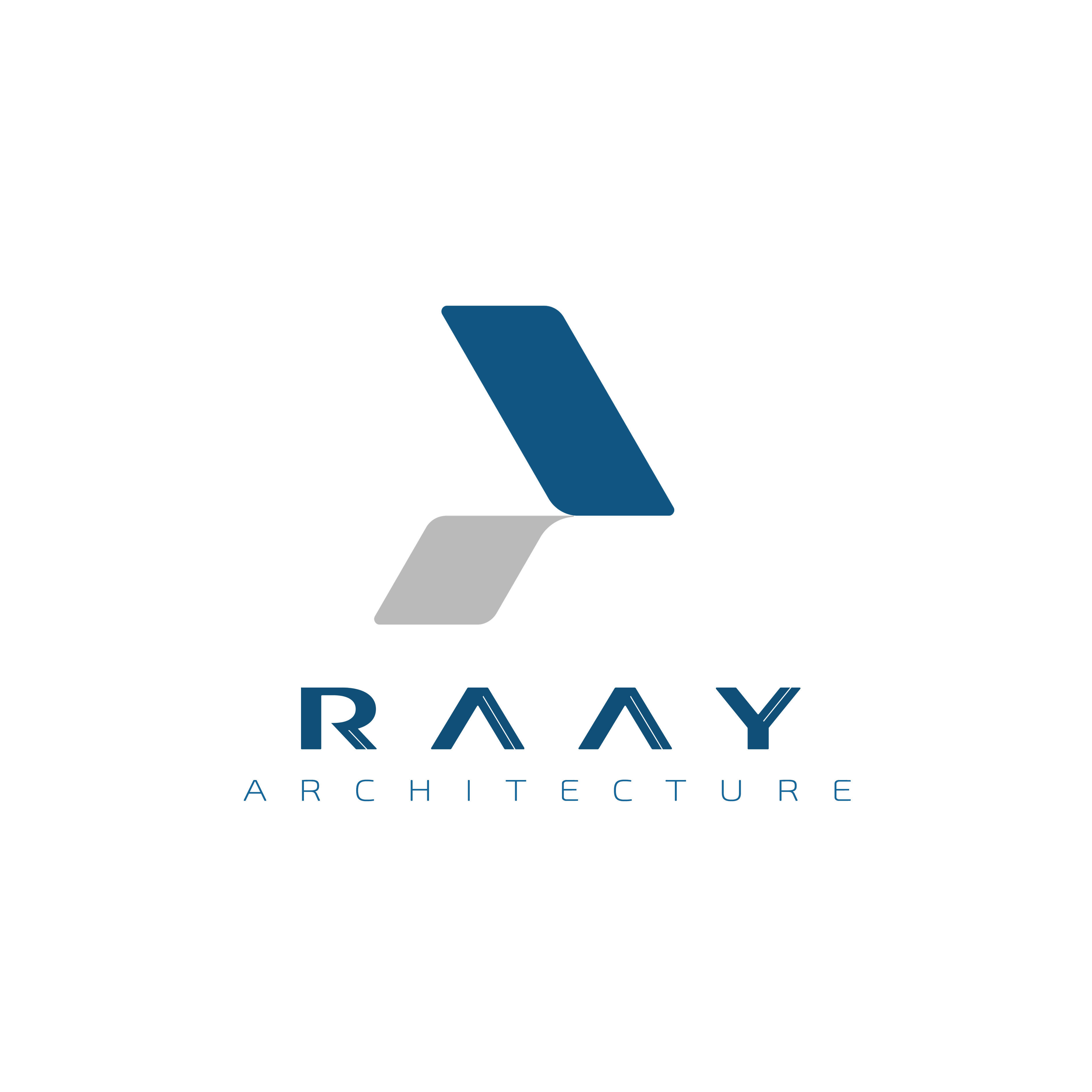 raay's Lens avatar