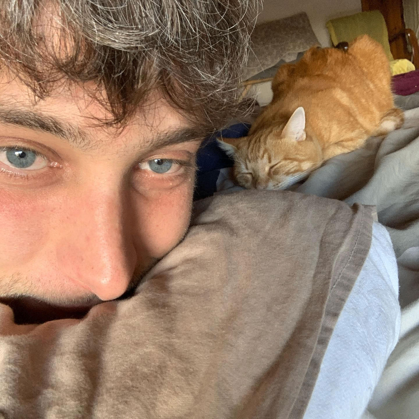 roccano (roccano.lens) Lens social identity (.lens handle) PFP