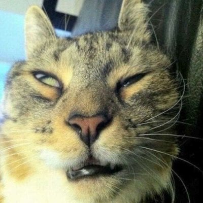 Angle's Lens avatar