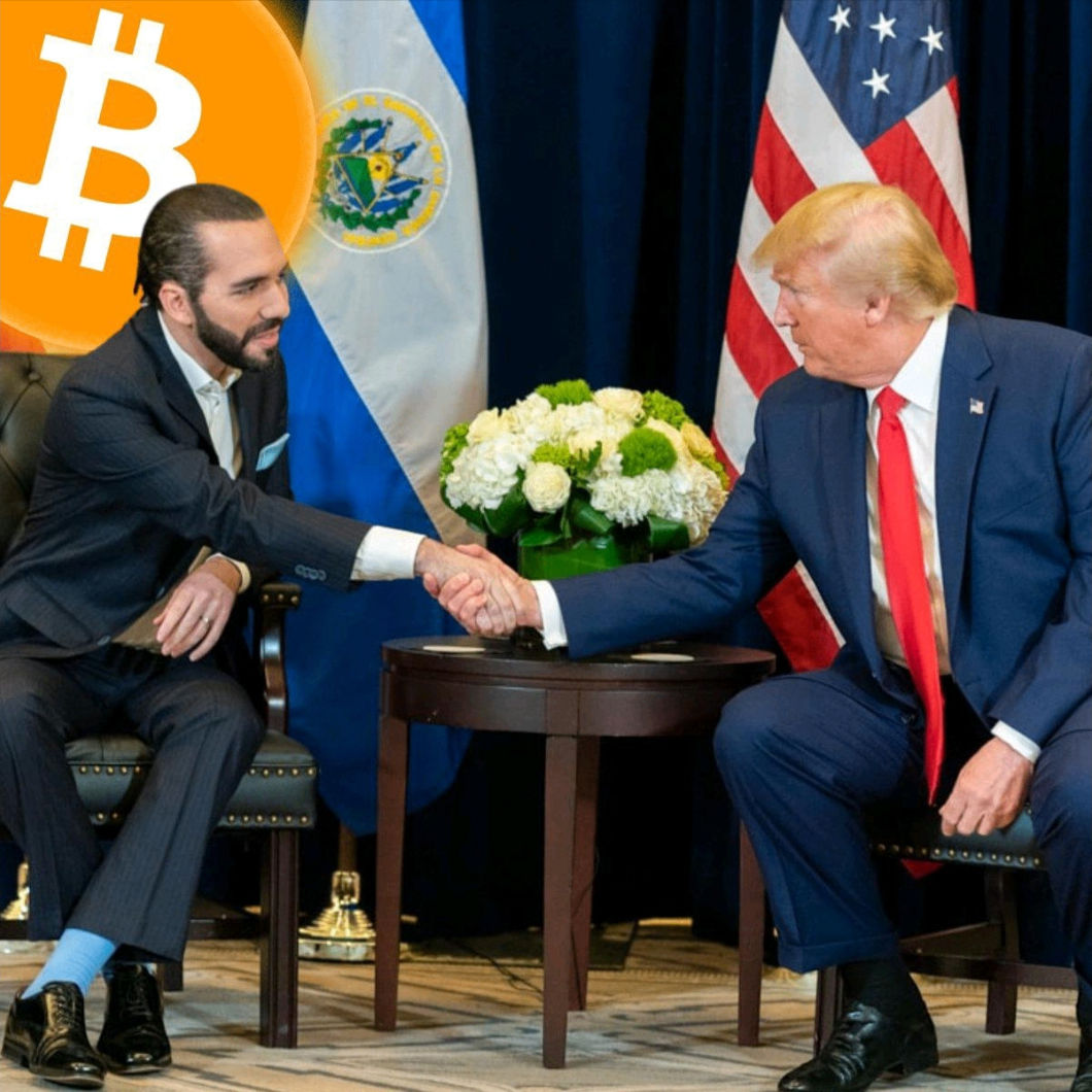 SAMIUN (pahver.lens) Lens social identity (.lens handle) PFP