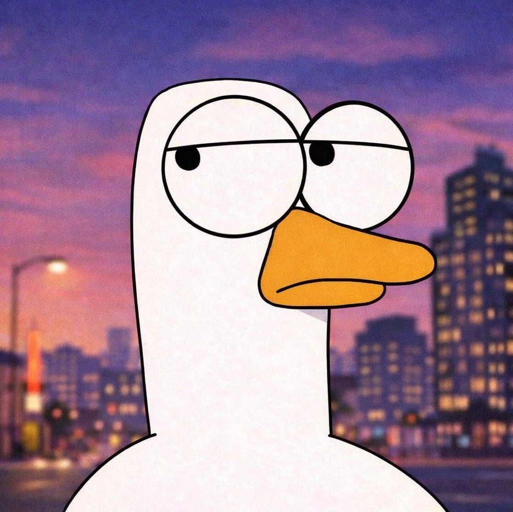 Molka's Lens avatar