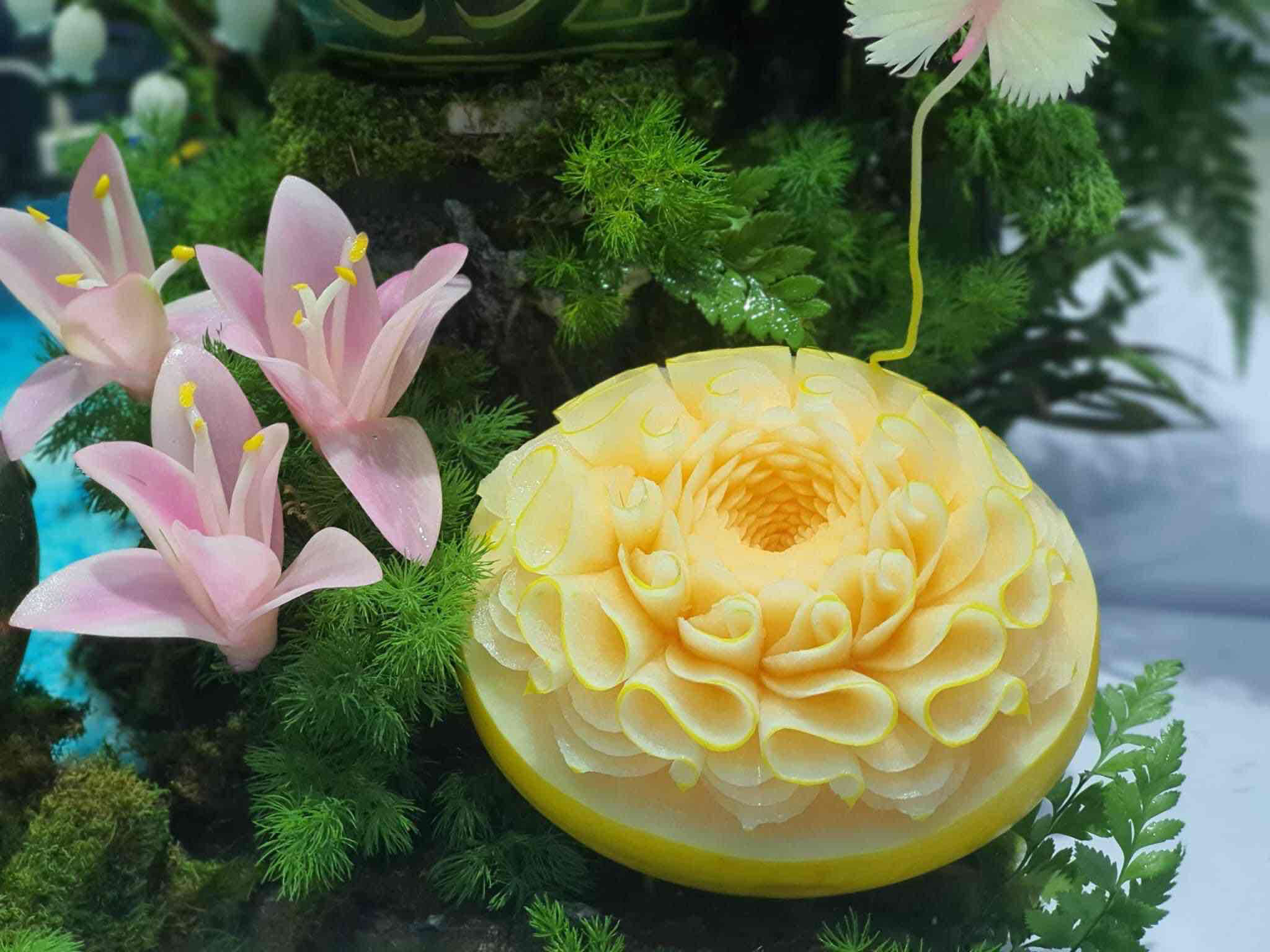 Đức Tài's Lens avatar