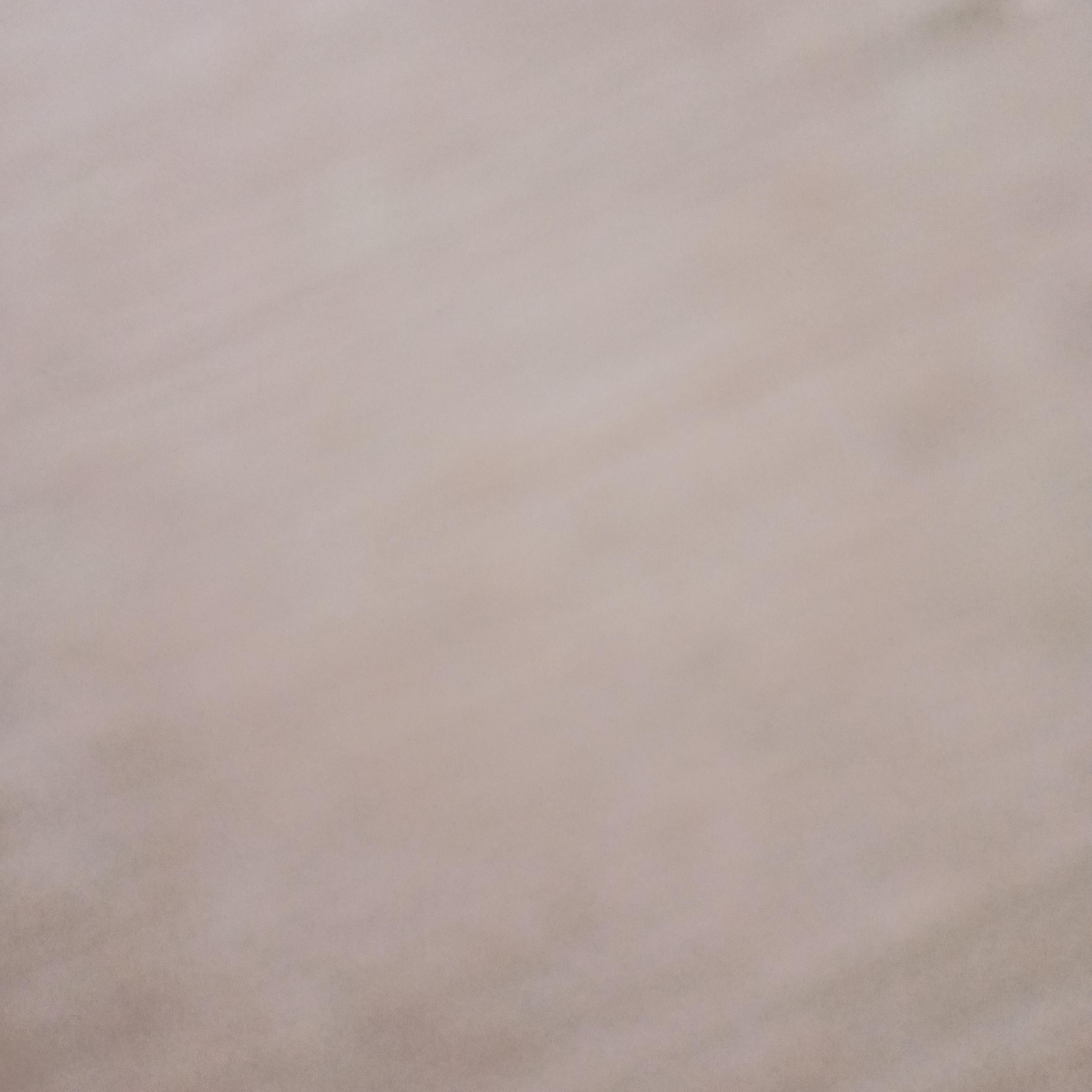 aucland's Lens avatar