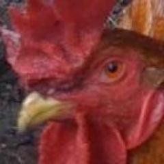 socrates1024's Lens avatar