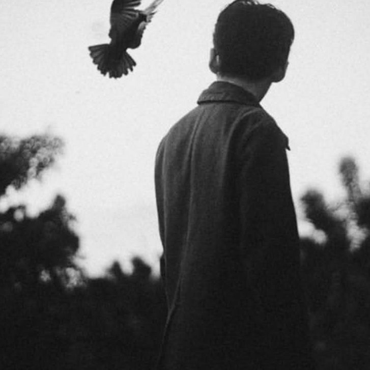 abigor (abigor.lens) Lens social identity (.lens handle) PFP