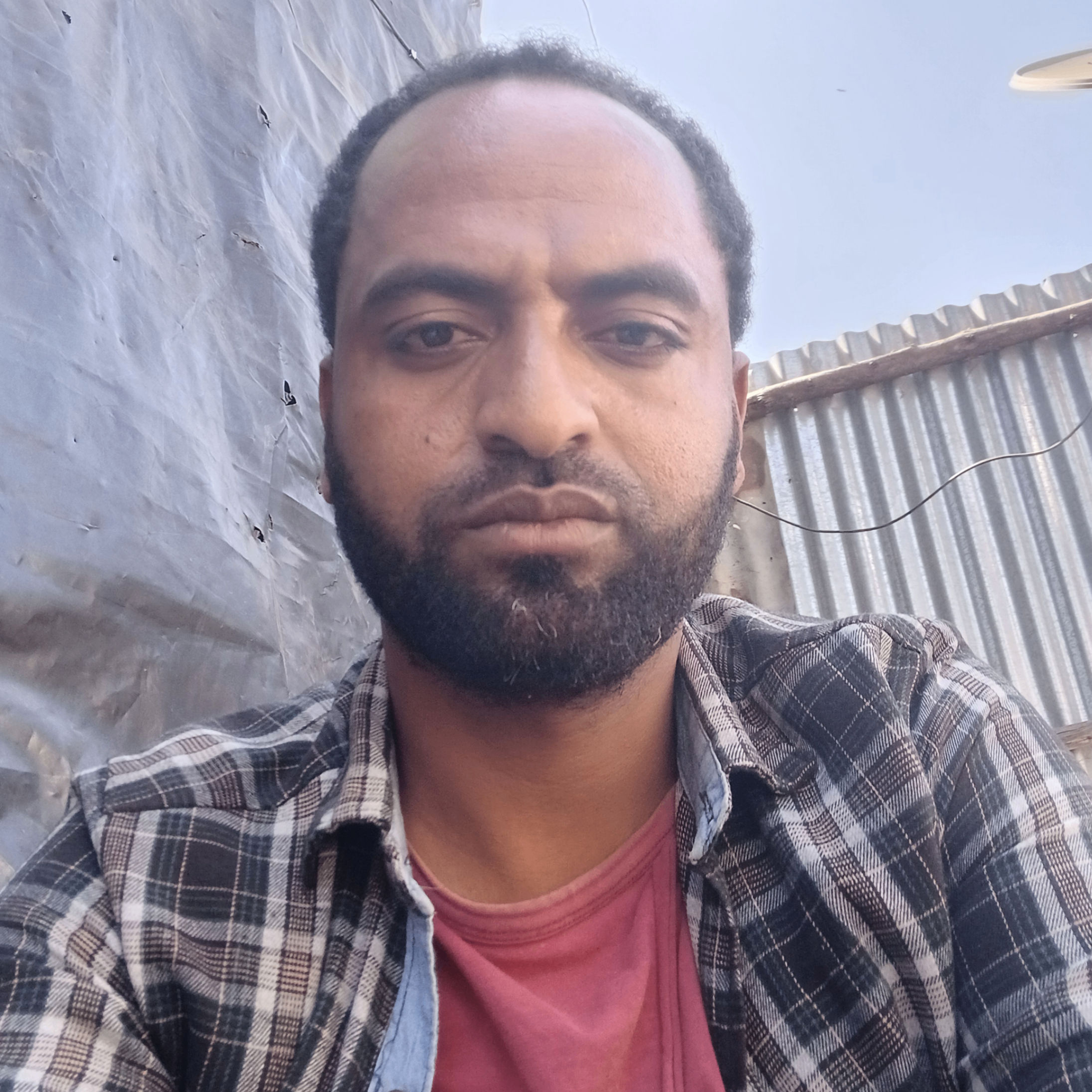 Muktar (kelifa.lens) Lens social identity (.lens handle) PFP