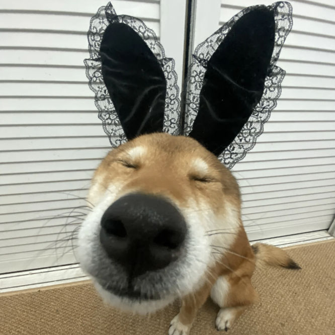 Ronnie (godsgreat.lens) Lens social identity (.lens handle) PFP