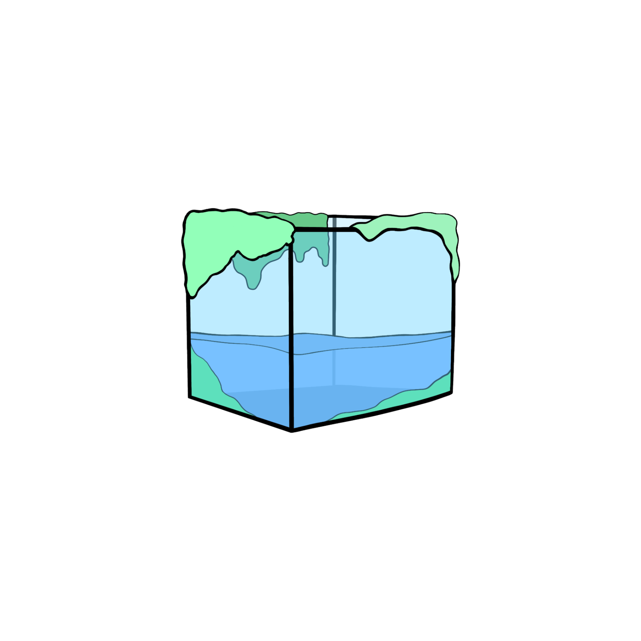 sea's Lens avatar