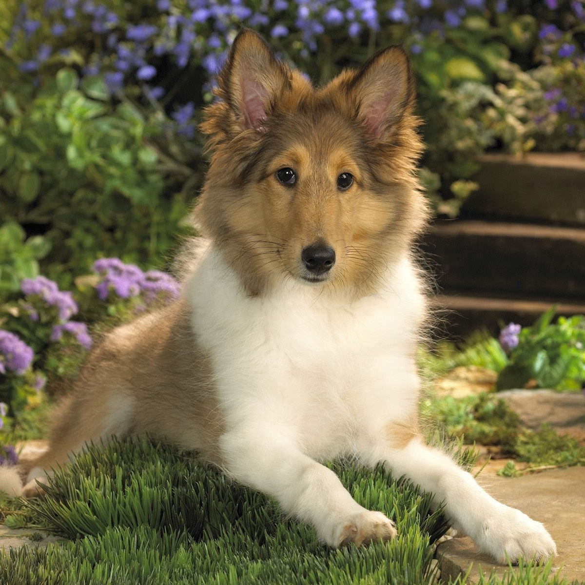 kirakulikova.eth Ethereum Name Service (ENS and .eth domain) PFP