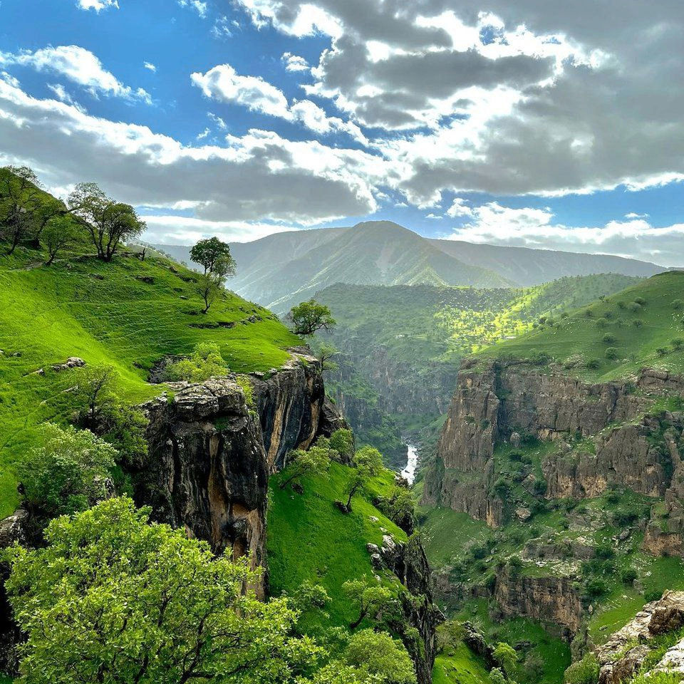 Hani (mygods.lens) Lens social identity (.lens handle) PFP