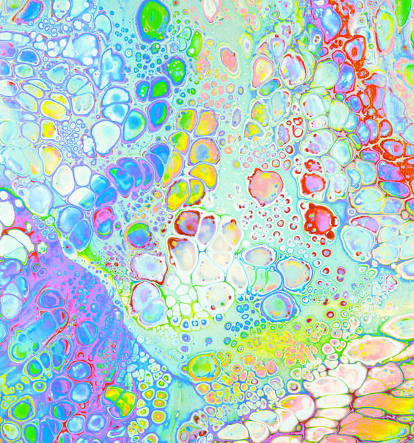 Acrylic pour of open cells in every colour over a pale aqua ground, lilac and scarlet breaking in at the edges