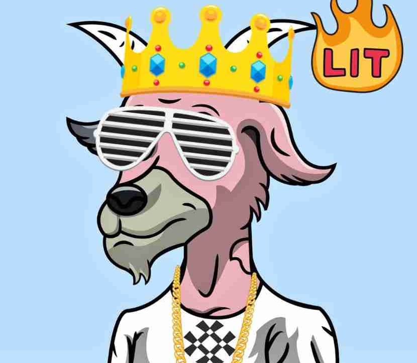 ELON MUSK base.eth 🆔🎩's Lens avatar