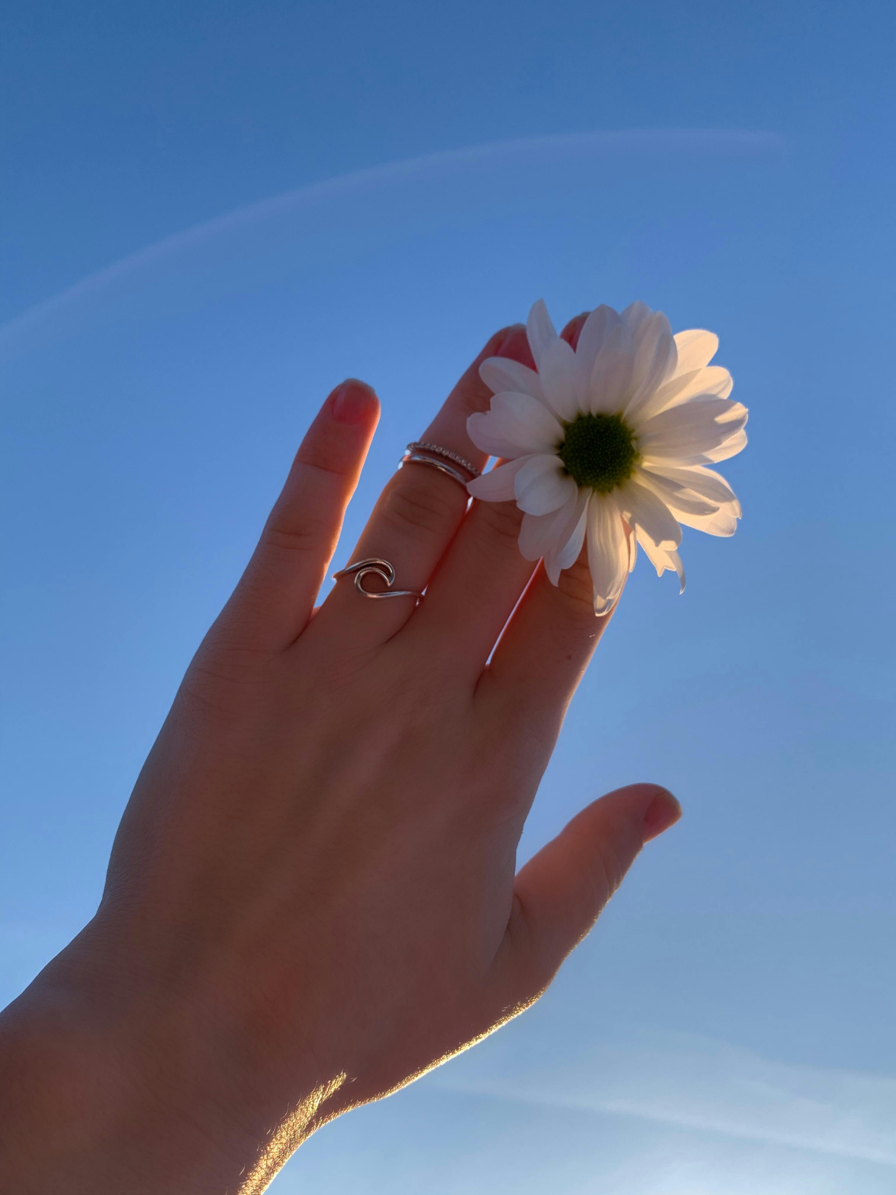 daybot's Lens avatar
