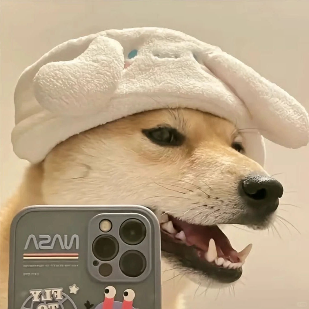 cici (aroundcity.lens) Lens social identity (.lens handle) PFP