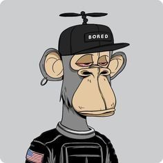 Oleksandr's Lens avatar