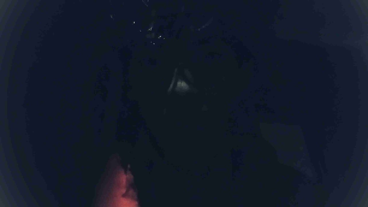 Free_Mint_base 🎩's Lens avatar