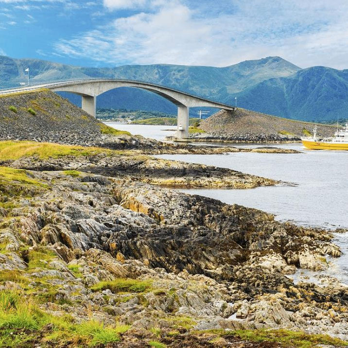 Fern (88242.lens) Lens social identity (.lens handle) PFP