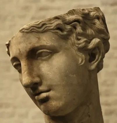 aes (aesthetica_new_roma.lens) Lens social identity (.lens handle) PFP
