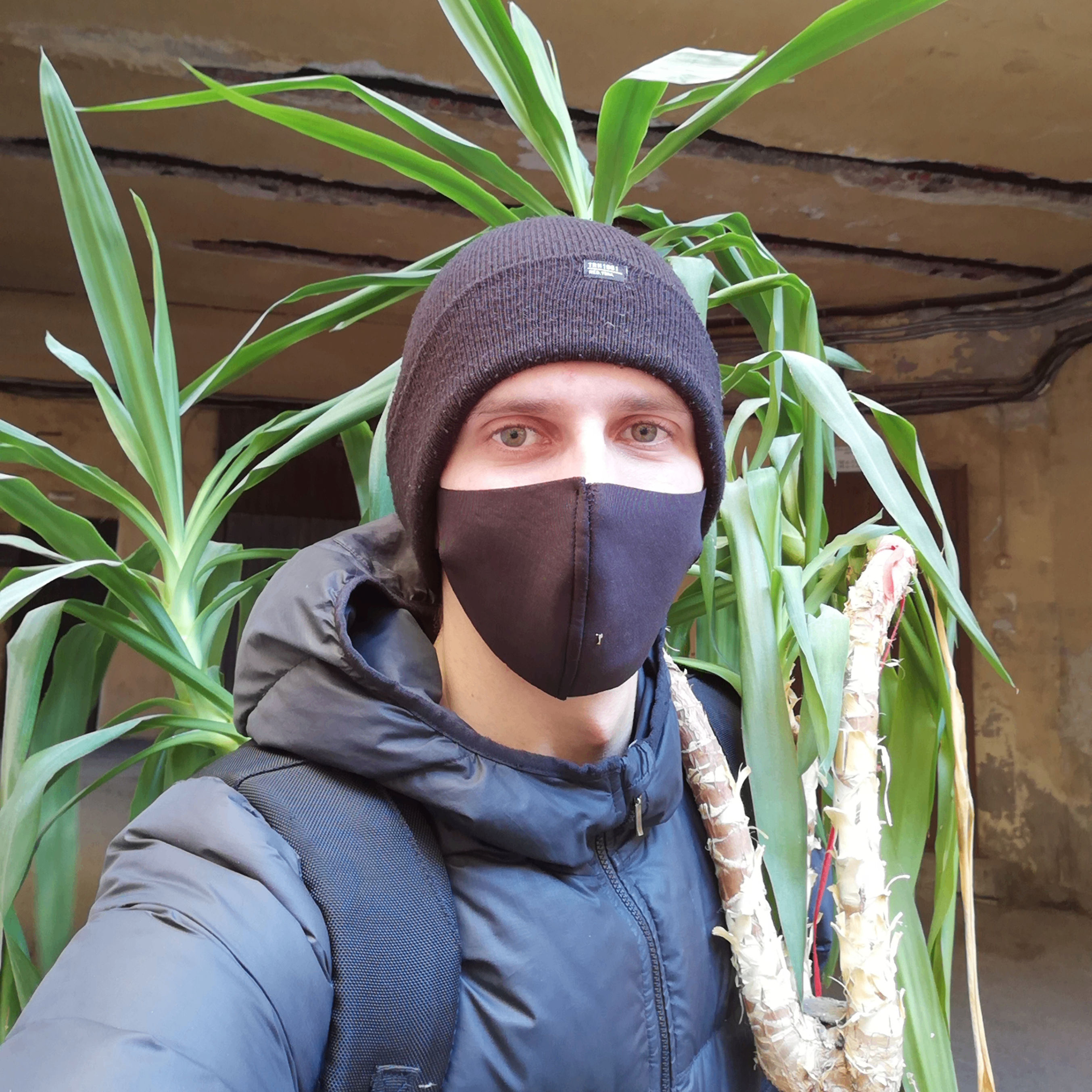 Yivo's Lens avatar