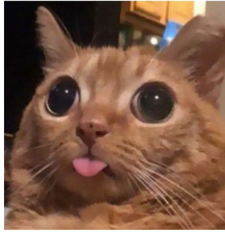 Dianeclaire14 (dianeclaire14.lens) Lens social identity (.lens handle) PFP