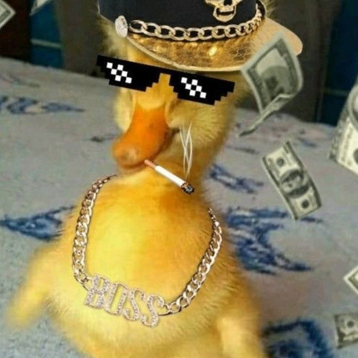 zephyraa (zephyraa.lens) Lens social identity (.lens handle) PFP