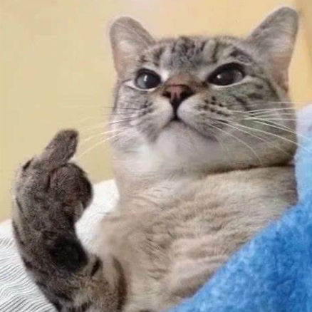 Couples (awhcouples.lens) Lens social identity (.lens handle) PFP