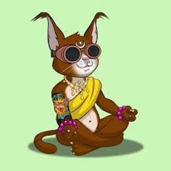 AnikoCrypto's Lens avatar
