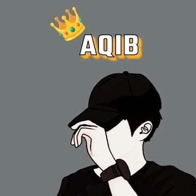 Aqib G 🇵🇰❤🇰🇼's Lens avatar